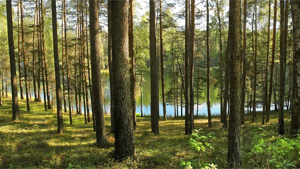 Загородные дома Sodyba Trakuose - Natura 2000 Antakalnis-52